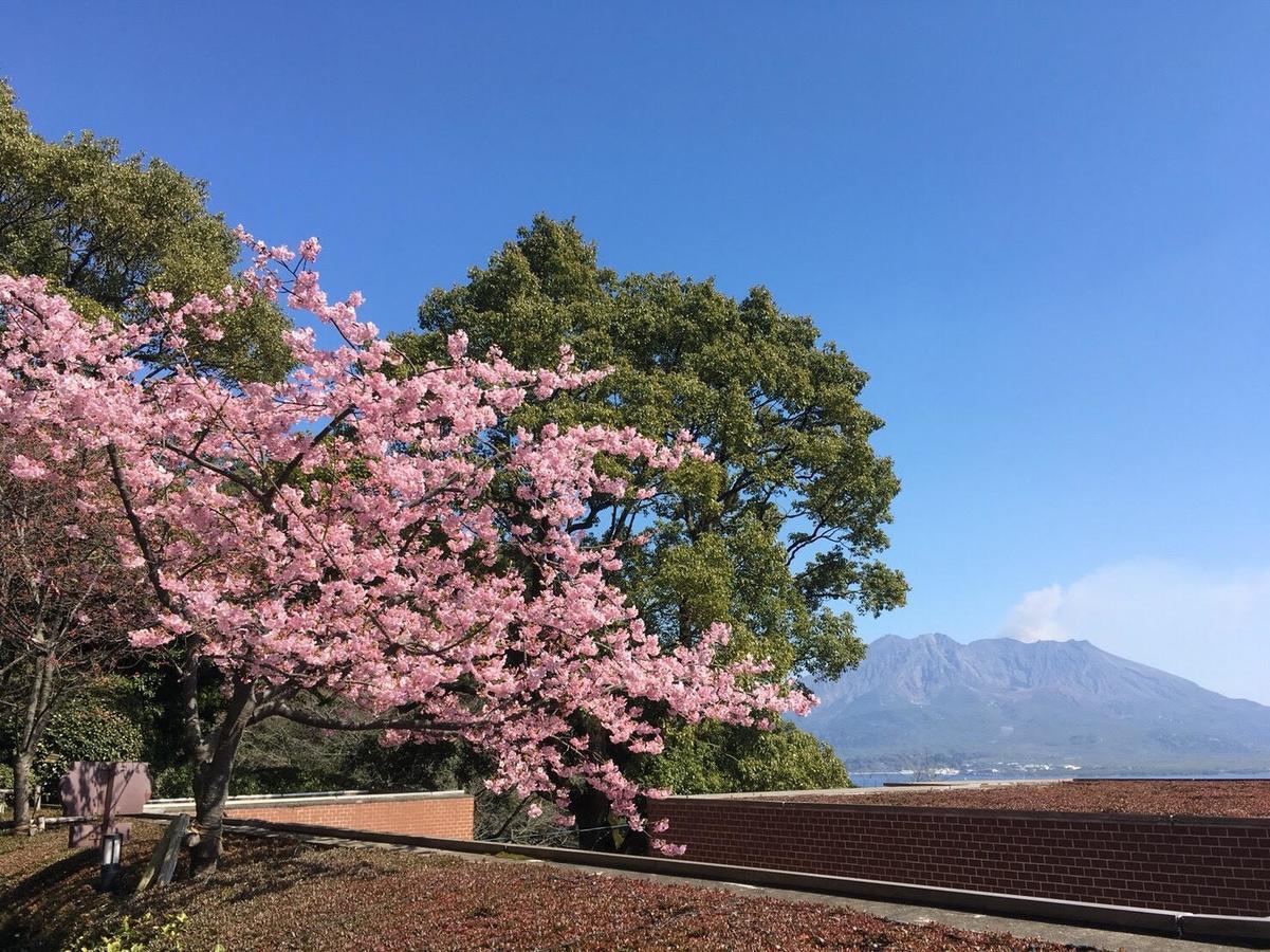 Shiroyama Hotel Kagoshima Exterior foto